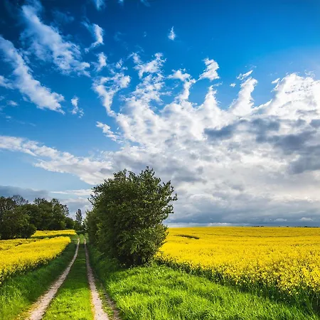 Freude St Peter-ording Sankt Peter-Ording