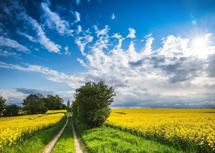 Freude St Peter-ording Sankt Peter-Ording